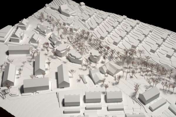 Neubauten und Umbau Scheune Zopfweg, Wädenswil Au