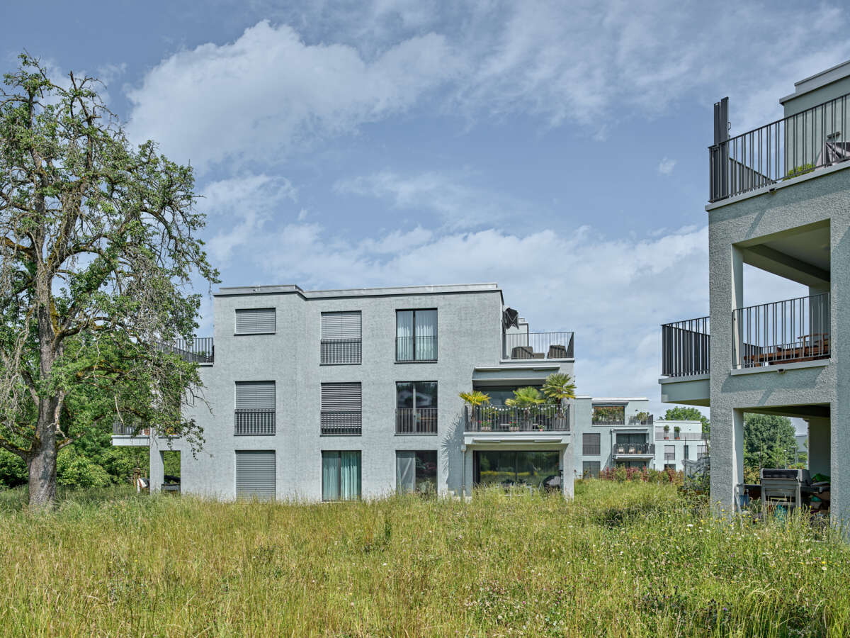 Wohnüberbauung Meilibachwiesen, Wädenswil/Au
