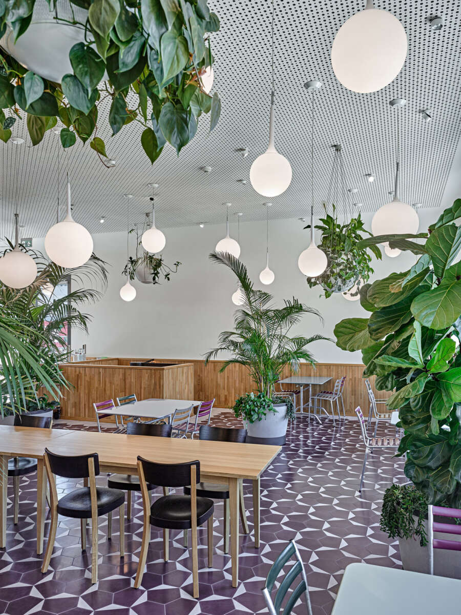 Innenausbau Innovationscenter SIGA, Schachen